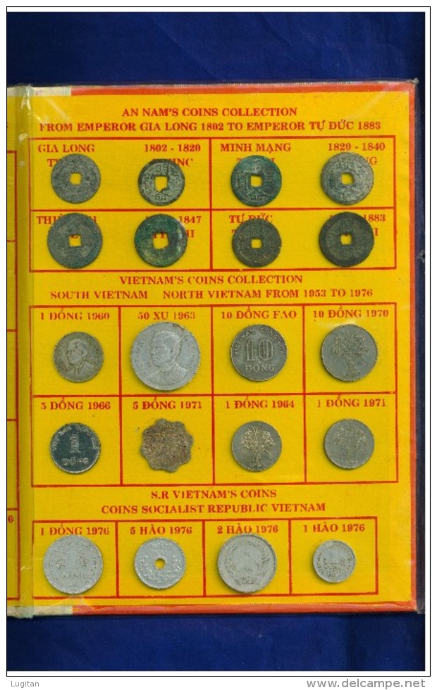 VIETNAM - COINS COLLECTION - INDOCHINE - ANNAM - LOTTO INDIVISIBILE AD UN PREZZO ECCEZIONALE - Vietnam