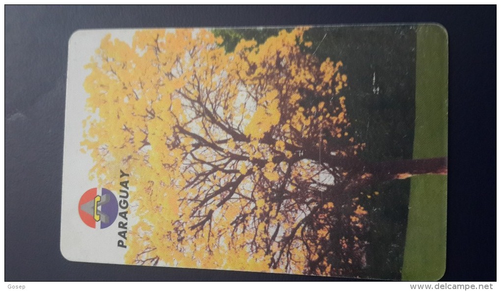 Paraguay-(par-a-16)-lapacho En Flor National Tree-(10units)-used Card+1 Card Prepiad Free - Paraguay