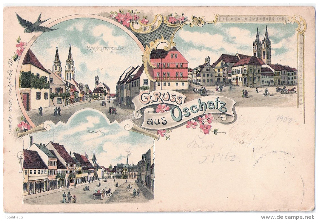 Gruss Aus OSCHATZ Color Litho Aus Dem Herzen Sachsens 19.4,1900 Als Drucksache - Oschatz