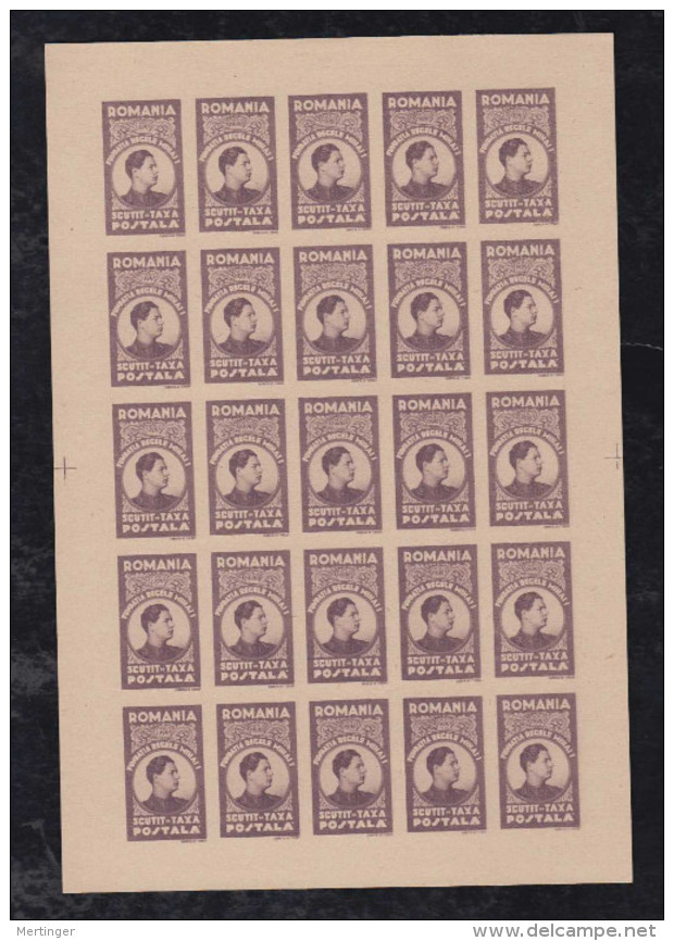 Rumänien Romania Postage Free Stamp  Mi# XIIa A+B (*) Mini Sheet Of 25 Michael Foundation 1947 - Franchise