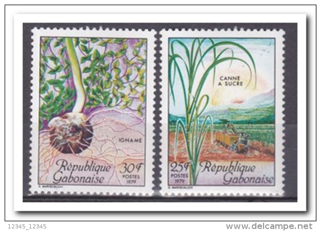 Gabon 1979, Postfris MNH, Plants - Gabon (1960-...)