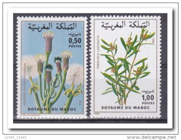 Marokko 1980, Postfris MNH, Plants - Marokko (1956-...)