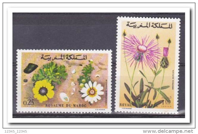 Marokko 1973, Postfris MNH, Flowers - Marokko (1956-...)