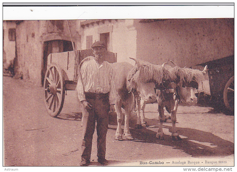 Cpa-64-bas Cambo-personnage -attelage Basque-edi Godard - Autres & Non Classés