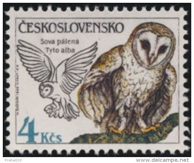 Czechoslovakia / Stamps (1986) 2761: Protecting Nature - Birds (Tyto Alba); Painter: Hana Capova - Autres & Non Classés