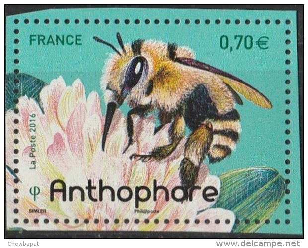 France 2016 - Neuf - Les Abeilles Solitaires - Anthophare (timbre De BLOC) - Neufs