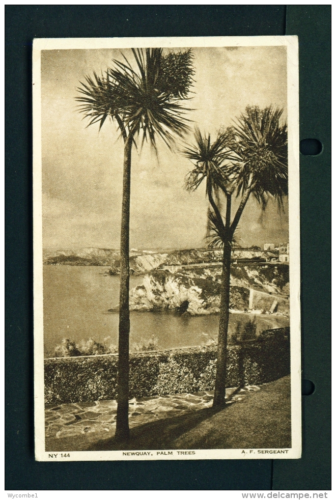 ENGLAND  -  Newquay  Palm Trees  Used Vintage Postcard As Scans - Newquay