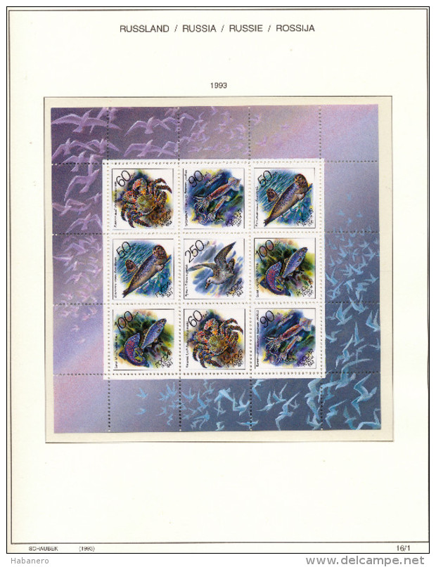 RUSSIA - 1993 COMPLETE COLLECTION OF STAMPS, BLOCKS & SHEETS ON 22 SCHAUBEK ALBUMSHEETS - MNH **