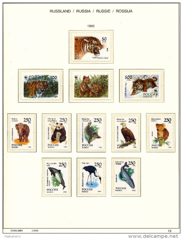 RUSSIA - 1993 COMPLETE COLLECTION OF STAMPS, BLOCKS & SHEETS ON 22 SCHAUBEK ALBUMSHEETS - MNH **