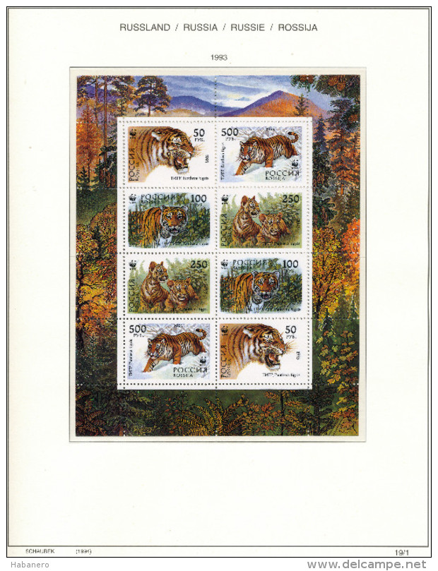 RUSSIA - 1993 COMPLETE COLLECTION OF STAMPS, BLOCKS & SHEETS ON 22 SCHAUBEK ALBUMSHEETS - MNH **