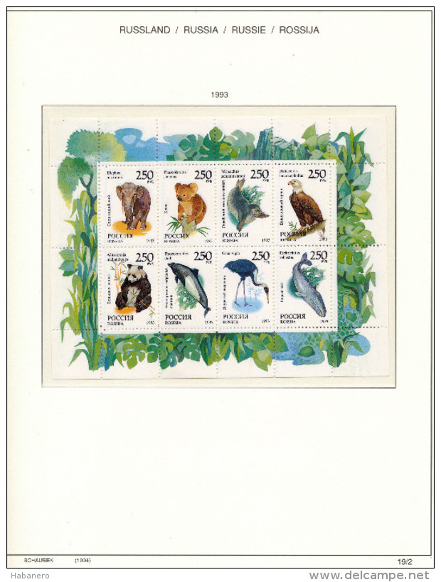 RUSSIA - 1993 COMPLETE COLLECTION OF STAMPS, BLOCKS & SHEETS ON 22 SCHAUBEK ALBUMSHEETS - MNH **