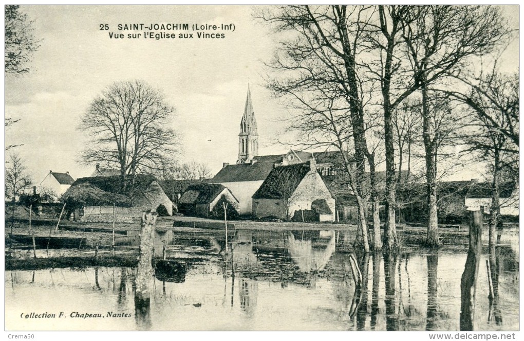 44 - SAINT JOACHIM - Vue Sur L'Eglise Aux Vinces - Saint-Joachim