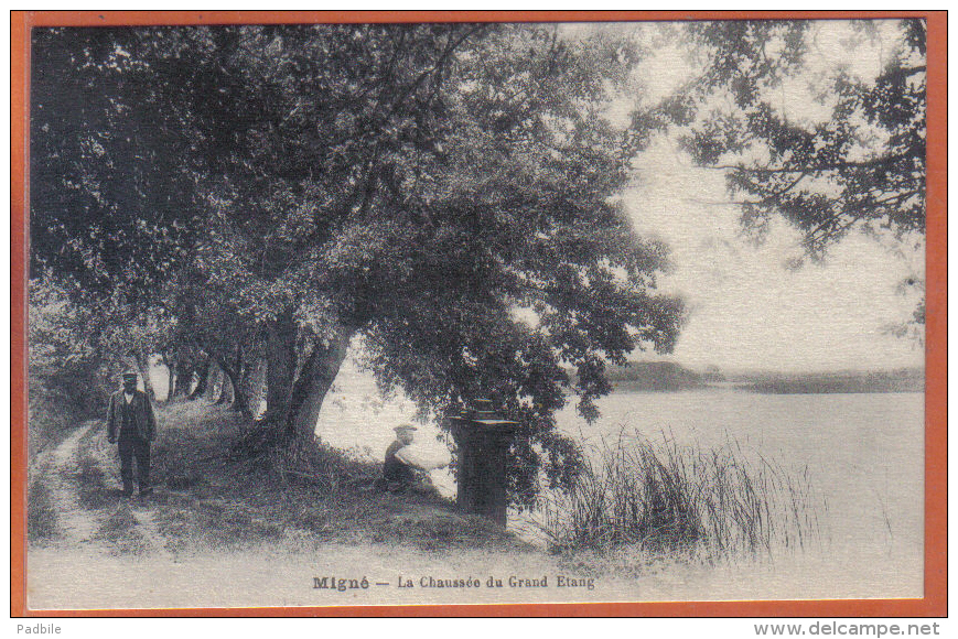 Carte Postale 36. Migné  La Chaussée Du Grand Etang  Trés Beau Plan - Autres & Non Classés