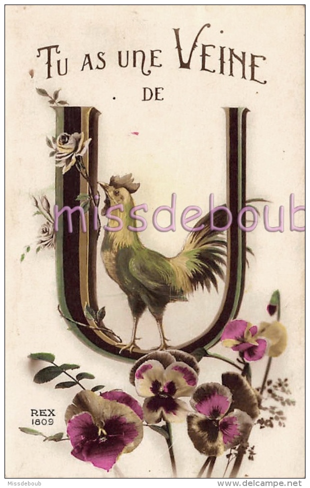 U - Lettre Alphabet  - Tu As Une Veine De .... Coq U - Illustration Humour - Dos Vierge   - 2 Scans - Humour