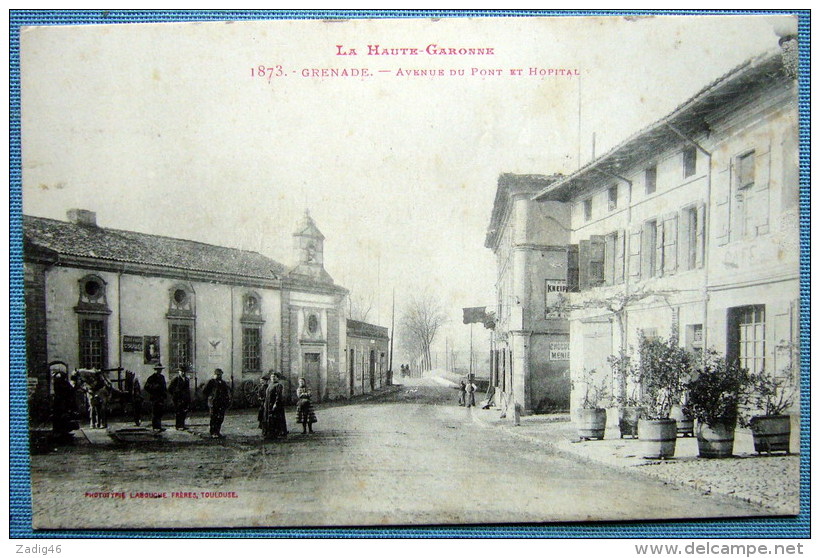 1873 - GRENADE - AVENUE DU PONT ET HOPITAL - Autres & Non Classés