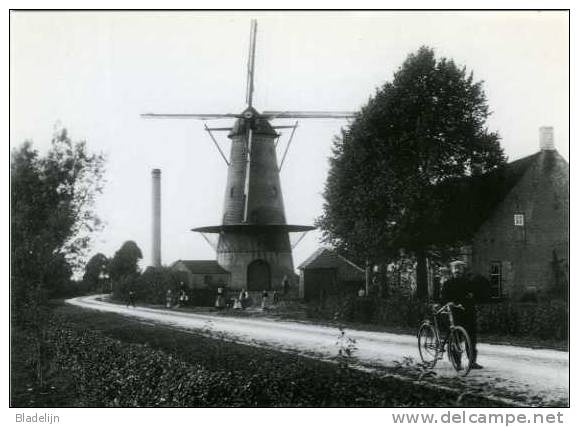 OISTERWIJK (N.Br.) - Molen/moulin - De Kerkhovense Molen (De Hoop) Naar Een Oude Foto. Fraai! - Other & Unclassified