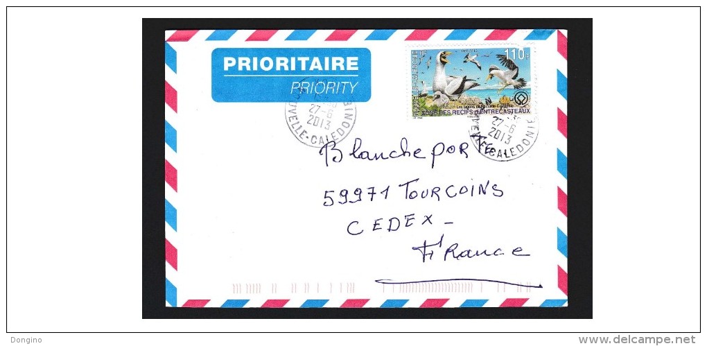 548. Nouvelle Calédonie / New Caledonia / Nueva Caledonia / 2013 / Birds / Oiseaux / Aves - Storia Postale