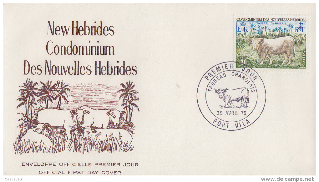 Enveloppe FDC  1er Jour   NOUVELLES  HEBRIDES   Boeuf   Charolais   1975 - FDC