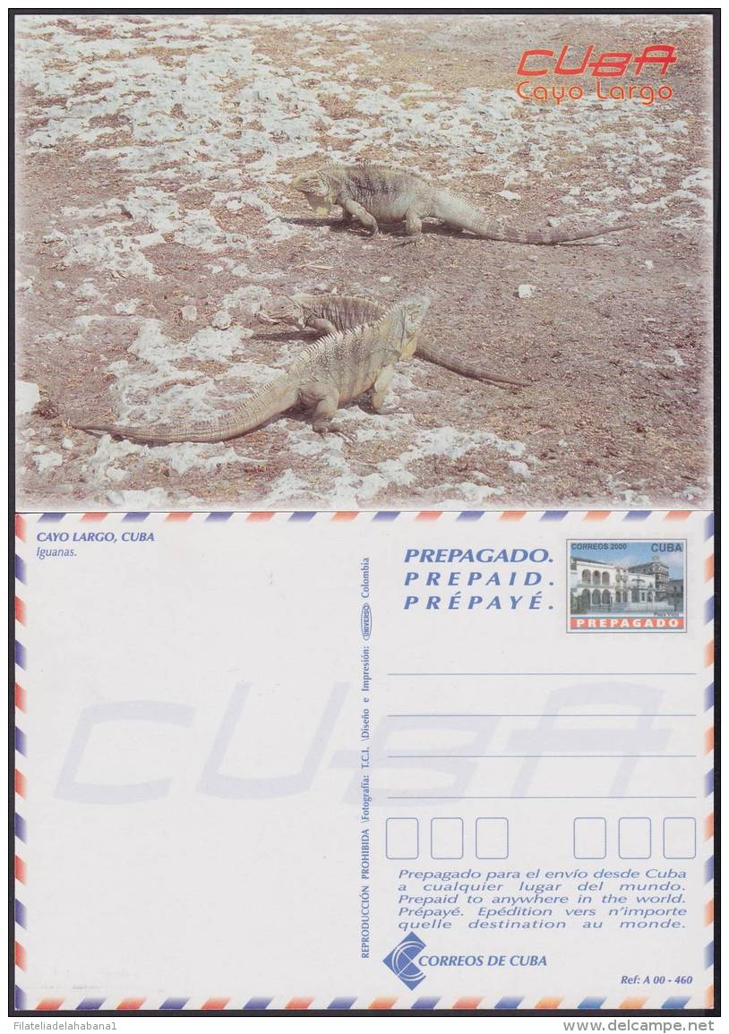 2000-EP-143 CUBA 2000. POSTAL STATIONERY. IGUANAS. LIZARD. CAYO LARGO. VISTAS TURISTICAS. UNUSED. - Cartas & Documentos