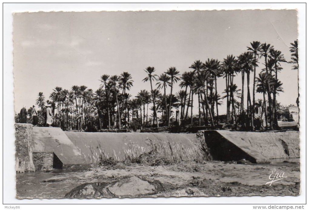 Algérie--COLOMB-BECHAR--(BECHAR)--1956--Oued Et Oasis ,cpsm 14 X 9 N°135 éd Photo-Africaines - Bechar (Colomb Béchar)