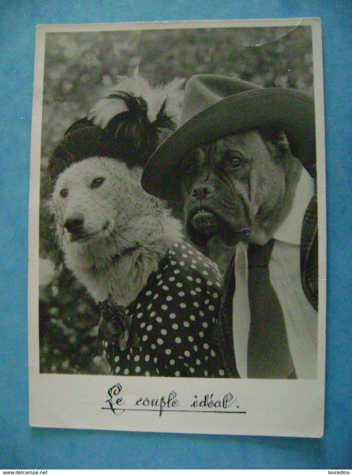 CPM   COUPLE DE CHIENS HABILLES  " LE COUPLE IDEAL" - Animales Vestidos