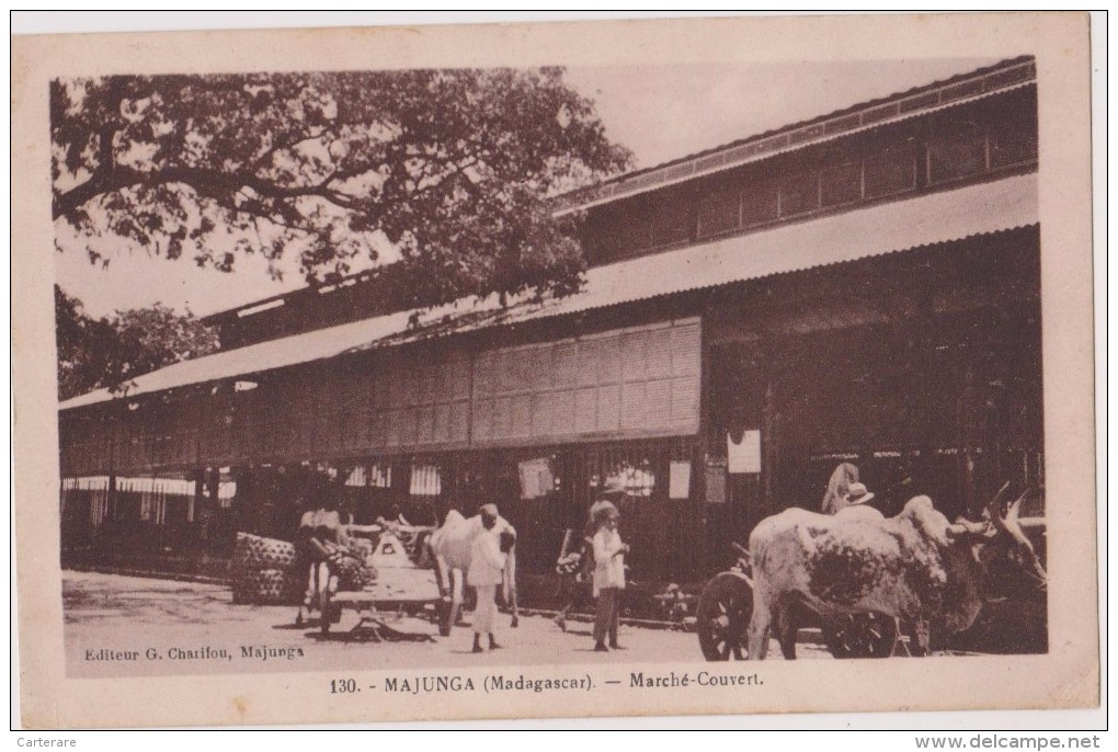 MADAGASCAR,MALAGASY,malgache,MAJUNGA,1900,marché,éleveur,fermier - Madagaskar