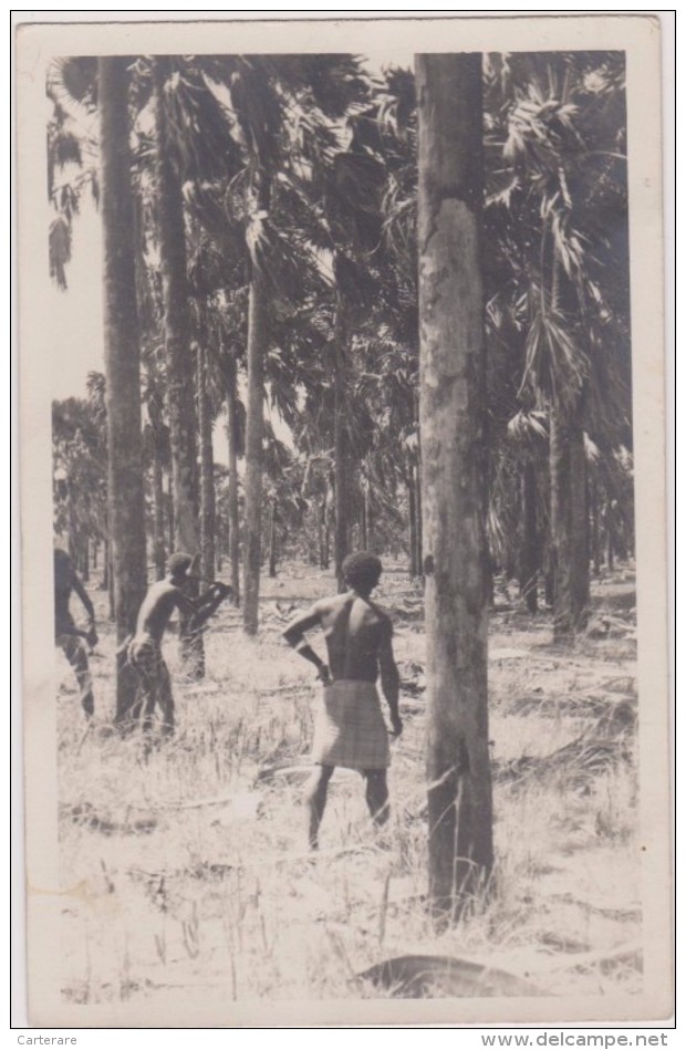 CARTE PHOTO,MADAGASCAR,TULEAR,FORET,SATRAS,BUCHERON,METIER - Madagascar