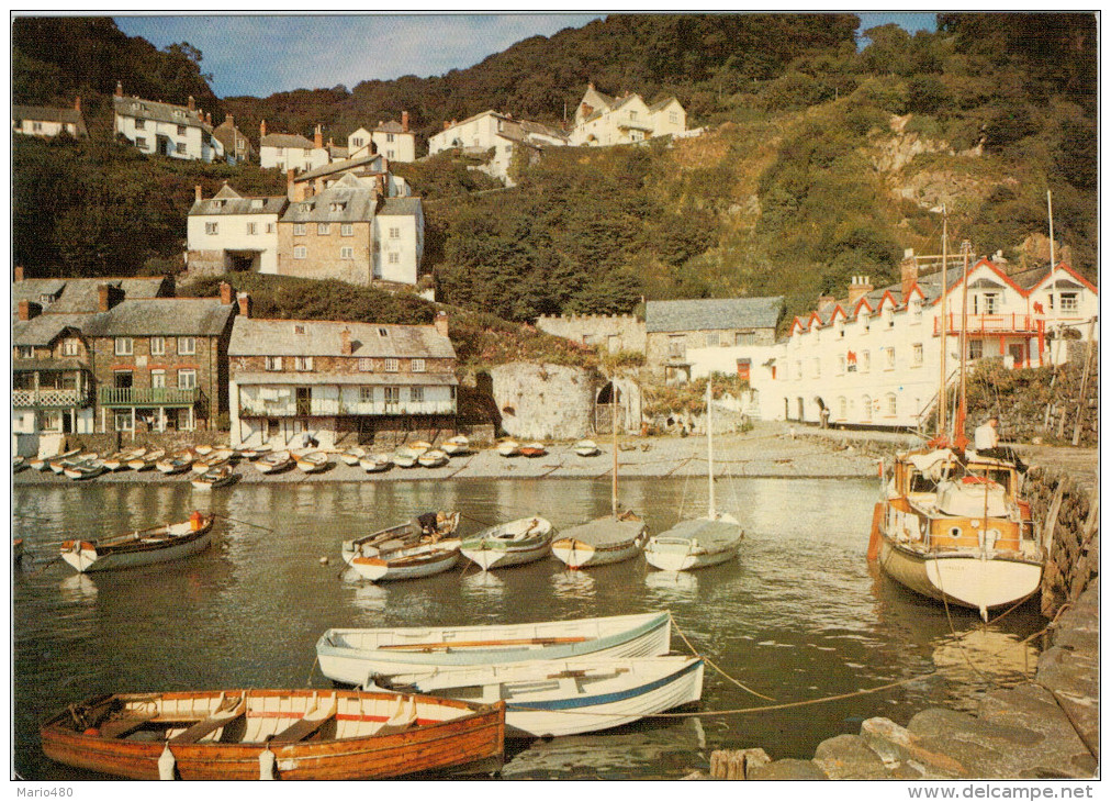 CLOVELLY    HARBOUR       (NUOVA) - Clovelly