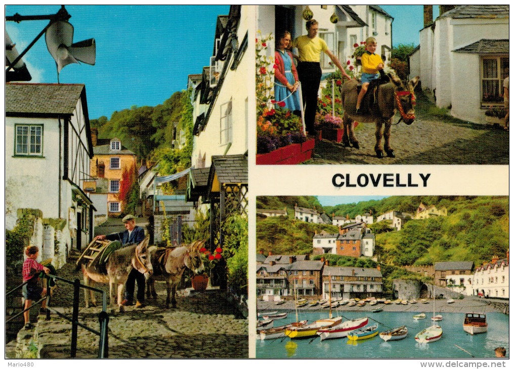 CLOVELLY    VIEWS      (NUOVA) - Clovelly