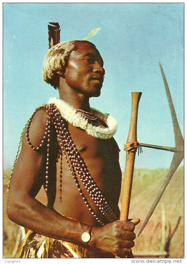 Swaziland : Swazi Warrior - Swasiland