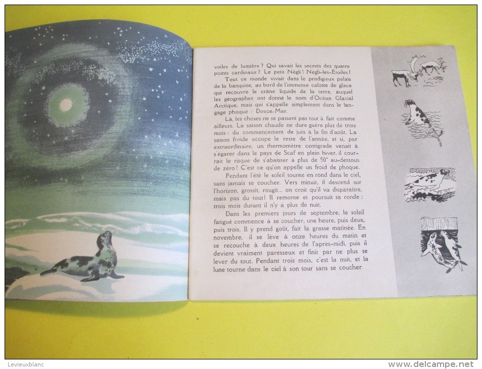 Enfant/SCAF Le Phoque /Texte Lida /Dessins Rojan/ /Album Du Pére Castor/Flammarion/1948         BD86 - Autres & Non Classés