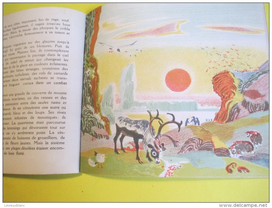 Enfant/SCAF le Phoque /Texte Lida /Dessins Rojan/ /Album du Pére Castor/Flammarion/1948         BD86