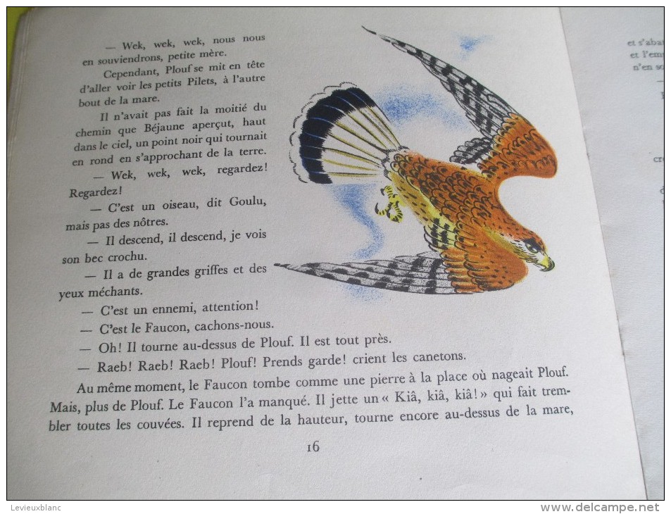 Enfant/Plouf Canard Sauvage /Texte Lida /Dessins Rojan/ /Album du Pére Castor/Flammarion/1949         BD87