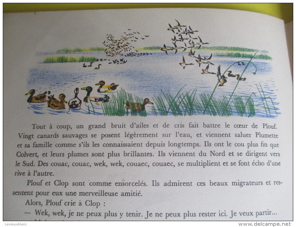 Enfant/Plouf Canard Sauvage /Texte Lida /Dessins Rojan/ /Album du Pére Castor/Flammarion/1949         BD87