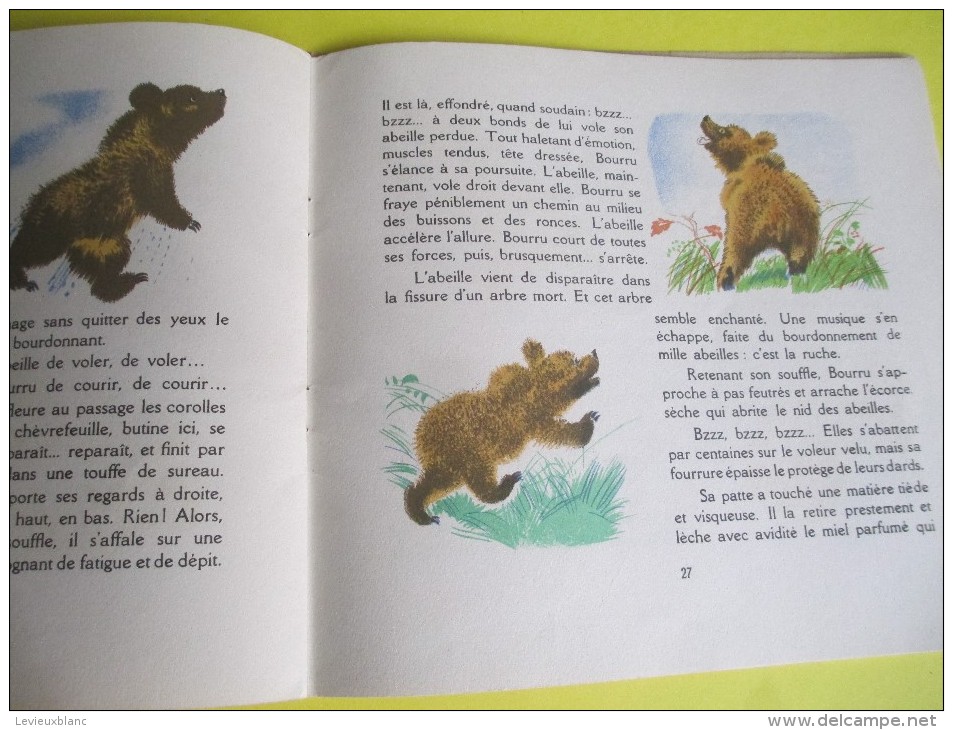 Enfant/BOURRU l´Ours Brun/Texte Lida /Dessins Rojan/ /Album du Pére Castor/Flammarion/1949         BD88