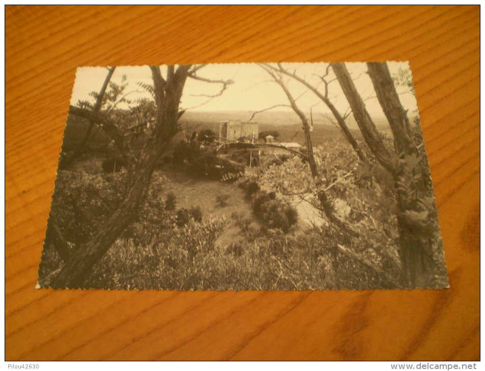 Carte Photo 04, Alpes De Haute Provence : Montpezat , Le Château - Castles