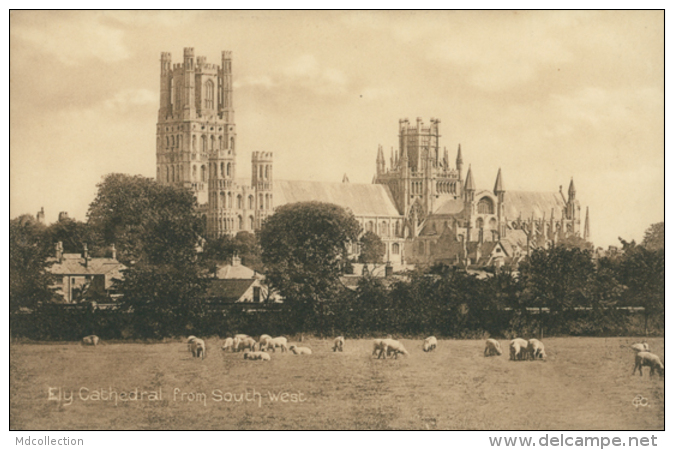 GB ELY / Ely Cathedral From South West / - Ely