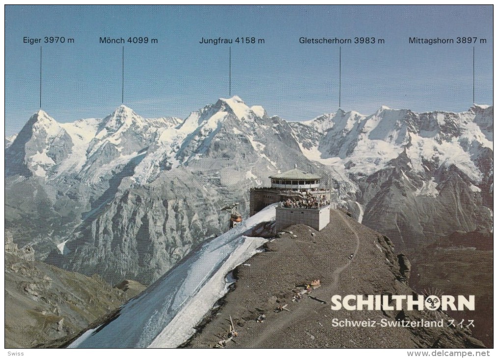 SCHILTHORN - Other & Unclassified