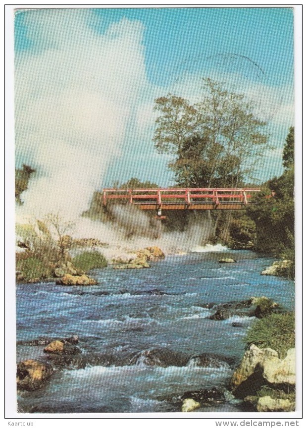 Papakura Geyser, Rotorua  - New Zealand - Nieuw-Zeeland