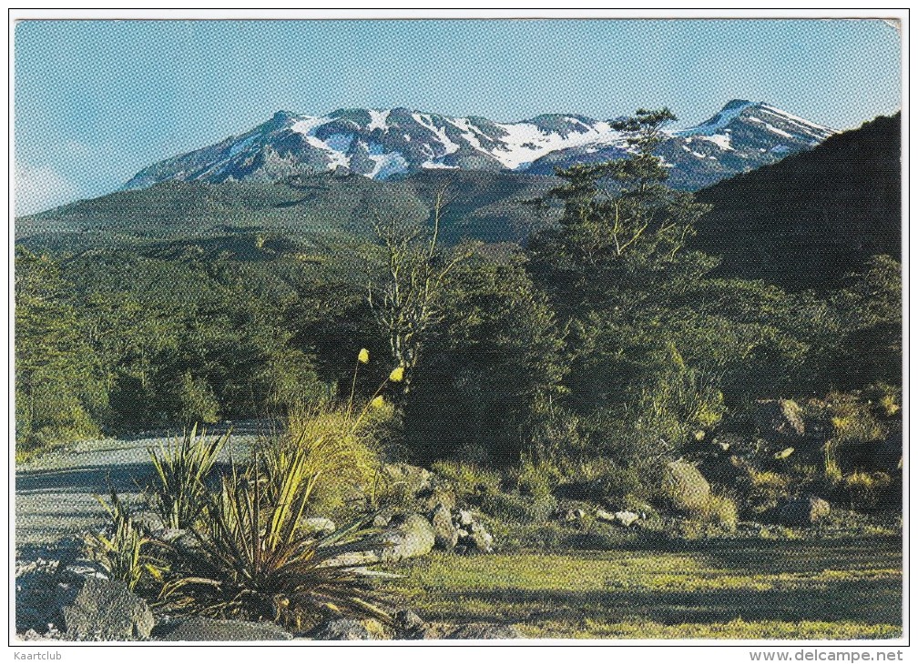 Mount Ruapehu From The Chateau, Tongariro National Park  - New Zealand - Nieuw-Zeeland