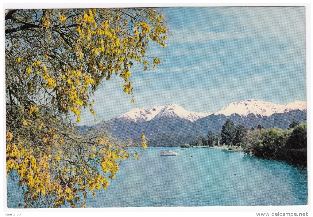 Lake Te Anau (Yellow Kowhai Flowers)  - New Zealand - Nieuw-Zeeland