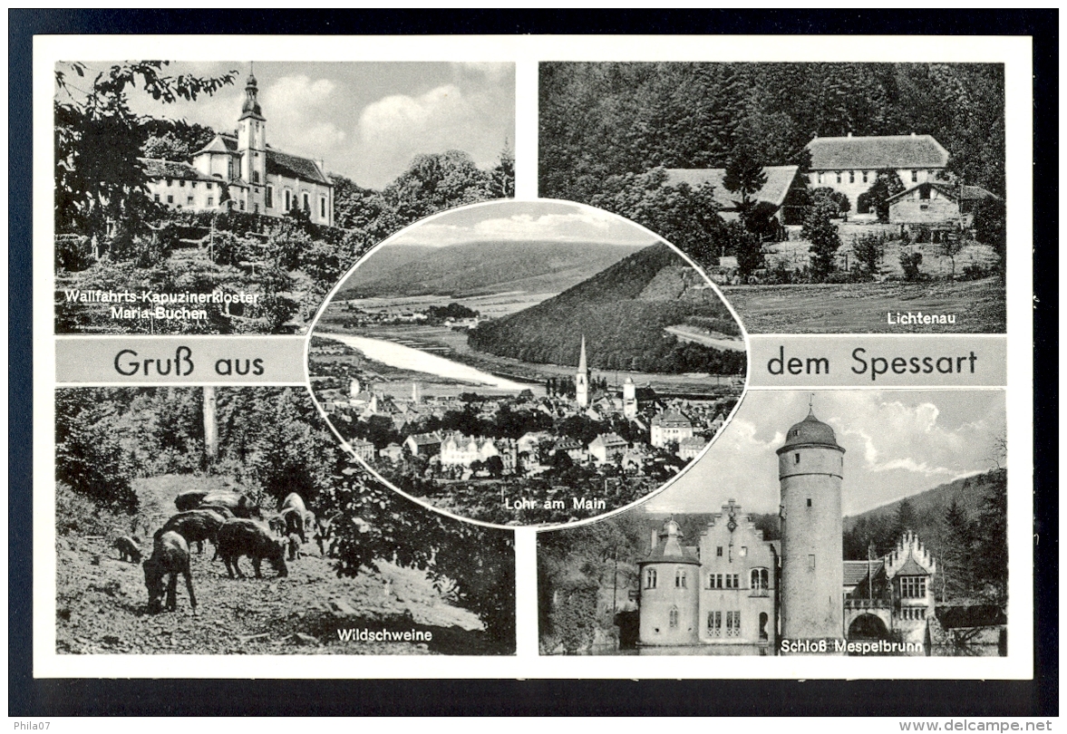 Gruss Aus Dem Spessart - Lohr Das Spessarttor / Postcard Not Circulated - Lohr
