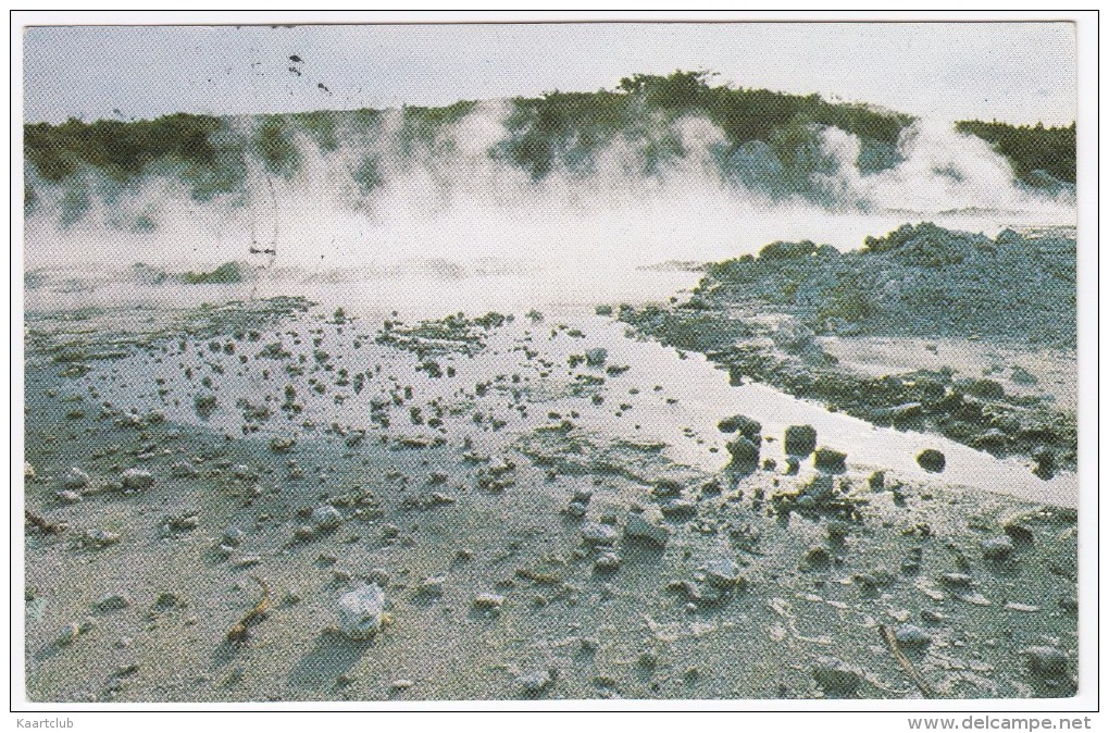 Hell's Gate Pool, Tikitere, Rotorua - New Zealand - Nieuw-Zeeland