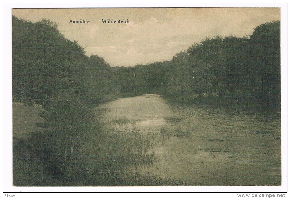 D6439     AUMÜHLE : Mühlenteich - Lauenburg