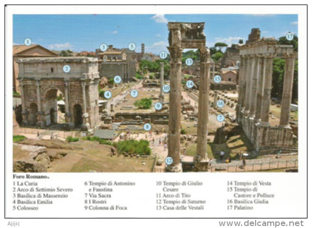 Il Foro Romano, Details Historiques. Roma . Carte Postale Neuve Non Circulée - Other Monuments & Buildings