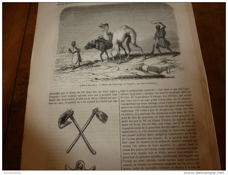 1847 MP Le Lac De Trasimède Ou De Pérouse;Les Classes Pauvres Des Paysans En Egypte Et Labourage (avec Gravures) - 1800 - 1849