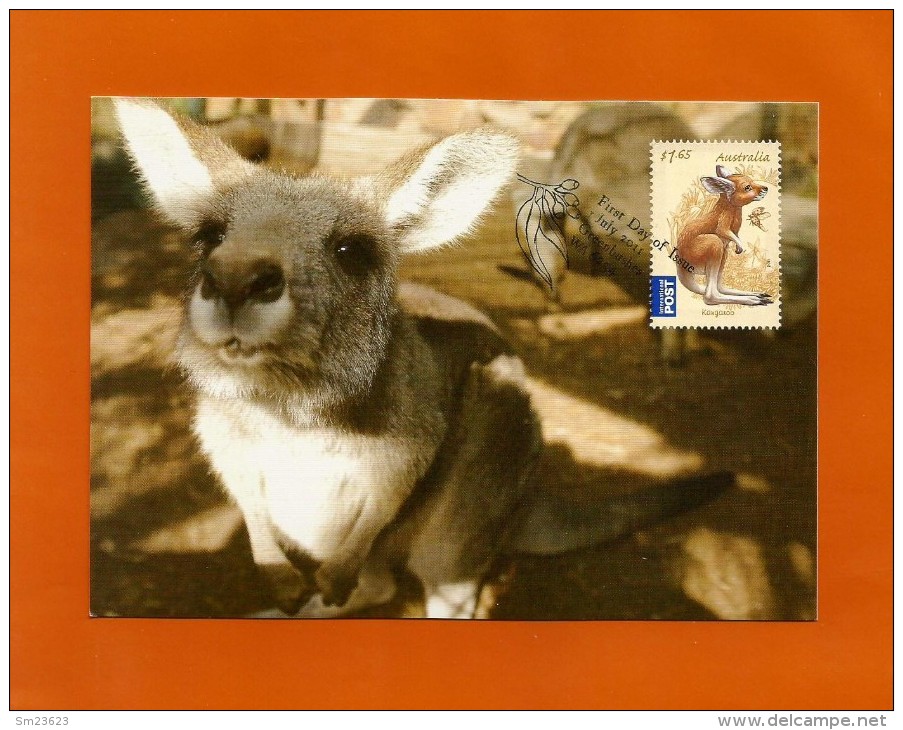 Australien 2011 Mi.Nr. 3581 , Kangaroo Joey - Maximum Card - First Day  1 July 2011 - Cartes-Maximum (CM)