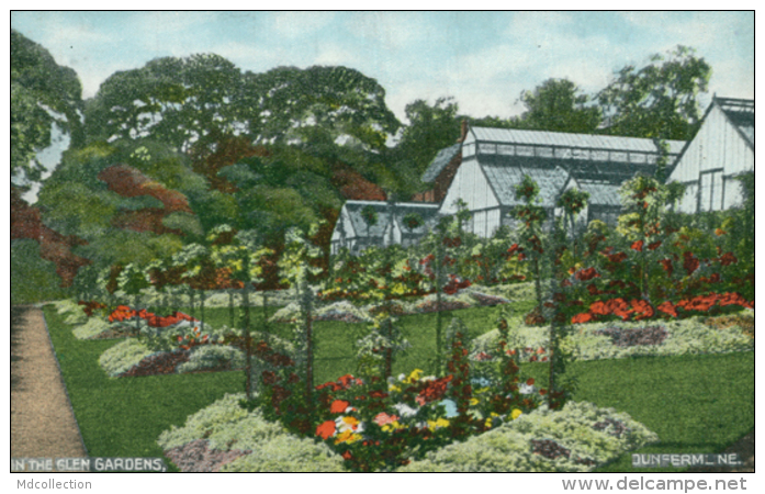 GB DUNFERMLINE / In The Glen Gardens / CARTE COULEUR - Fife