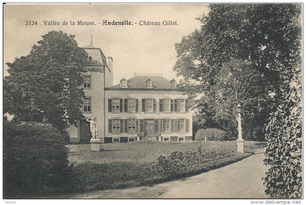 Andenelle - Château Gillet  ( Voir Verso ) - Andenne