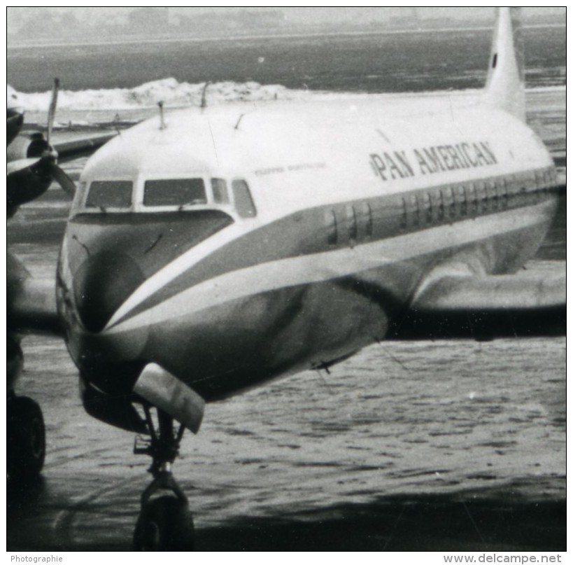 Aviation Avion De Ligne Transport Aérien Pan American Et Seaboard &amp; Western Ancienne Photo 1960 - Aviation